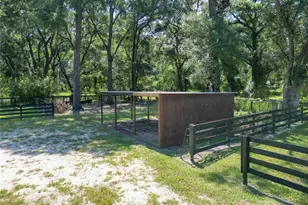 8901 NW 137th Ave, Morriston, FL 32668 - Photo 82