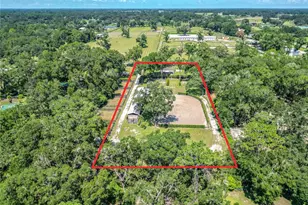 8901 NW 137th Ave, Morriston, FL 32668 - Photo 86