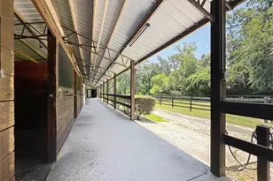 8901 NW 137th Ave, Morriston, FL 32668 - Photo 68