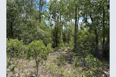 00 SW Rainbow Lakes Boulevard, Dunnellon, FL 34431 - Photo 4