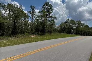 00 SW Rainbow Lakes Blvd, Dunnellon, FL 34431 - Photo 1