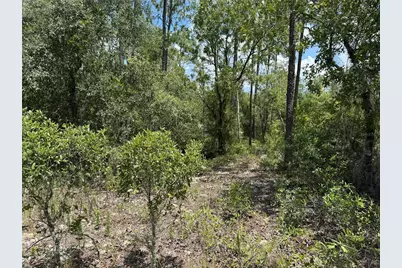 00 SW Rainbow Lakes Boulevard, Dunnellon, FL 34431 - Photo 6
