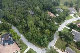 0000 SE 47th Loop, Ocala, FL 34480 - Photo 1