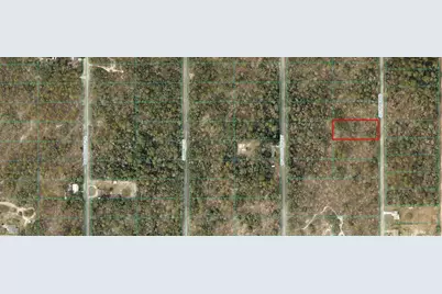 0 SW Viburnum Rd #7, Dunnellon, FL 34431 - Photo 1