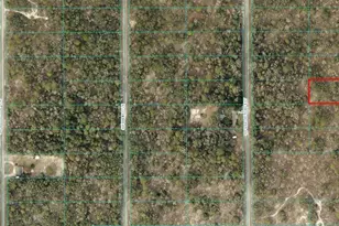 0 SW Viburnum Rd, Dunnellon, FL 34431 - Photo 1
