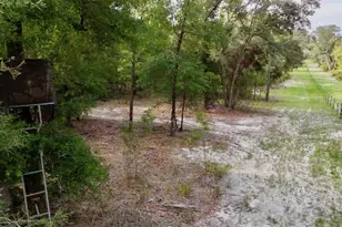 2669 NW Suwannee Valley Rd, Lake City, FL 32055 - Photo 50