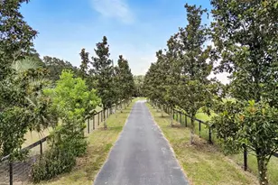 1960 SE 150th St, Summerfield, FL 34491 - Photo 4