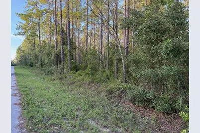 Tbd SW South Water Court, Dunnellon, FL 34431 - Photo 4