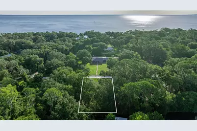 Tbd NE 303rd Court, Salt Springs, FL 32134 - Photo 1