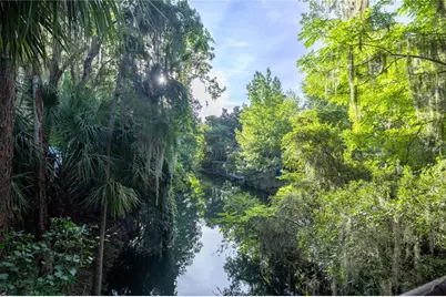 Tbd NE 303rd Court, Salt Springs, FL 32134 - Photo 2