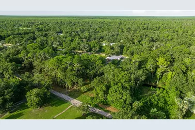 Tbd NE 303rd Court, Salt Springs, FL 32134 - Photo 8