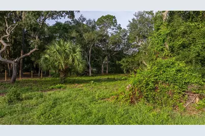 Tbd NE 303rd Court, Salt Springs, FL 32134 - Photo 4