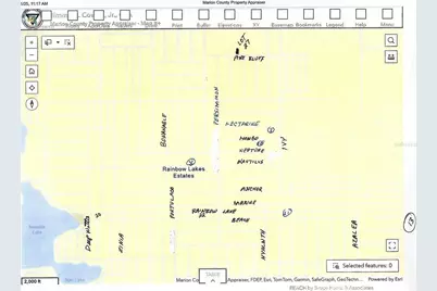 Lot 13 SW Rainbow Lakes Boulevard, Dunnellon, FL 34431 - Photo 14