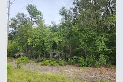 Lot 13 SW Rainbow Lakes Boulevard, Dunnellon, FL 34431 - Photo 4