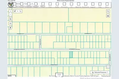 Lot 13 SW Rainbow Lakes Boulevard, Dunnellon, FL 34431 - Photo 2