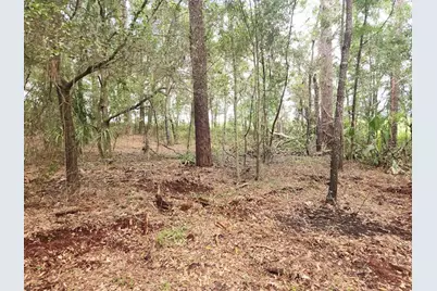 Lot 27 SW Pine Bluffs Road, Dunnellon, FL 34431 - Photo 20