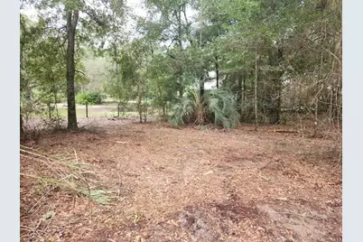 Lot 27 SW Pine Bluffs Road, Dunnellon, FL 34431 - Photo 16