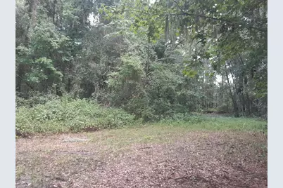 Tbd NW 172nd Place, Reddick, FL 32686 - Photo 2