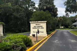 15225 NE 246 Ave, Salt Springs, FL 32134 - Photo 88