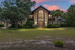 15225 NE 246 Ave, Salt Springs, FL 32134 - Photo 2