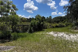 15225 NE 246 Ave, Salt Springs, FL 32134 - Photo 80