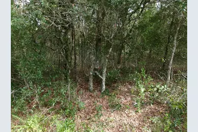 Lot 3 SW Nectarine Lane, Dunnellon, FL 34431 - Photo 6