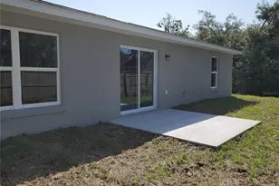 114 Malauka Loop, Ocklawaha, FL 32179 - Photo 28