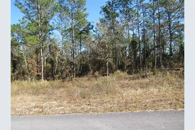 0000 SW Sands Pt Ave Lot 32, Dunnellon, FL 34431 - Photo 2