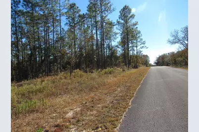 0000 SW Sands Pt Ave Lot 32, Dunnellon, FL 34431 - Photo 1