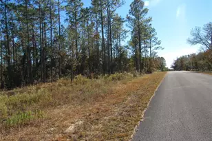 0000 SW Sands Pt Ave Lot 32, Dunnellon, FL 34431 - Photo 1