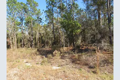 0000 SW Sands Pt Ave Lot 32, Dunnellon, FL 34431 - Photo 4