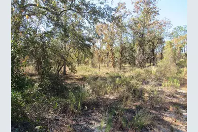 0000 SW Plaza Court Court, Dunnellon, FL 34431 - Photo 2