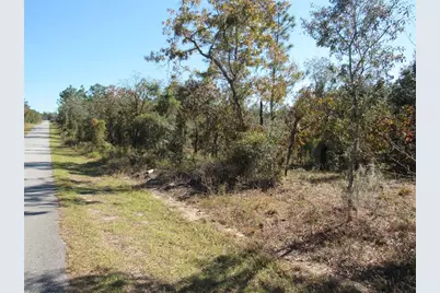 0000 SW Plaza Court Court, Dunnellon, FL 34431 - Photo 4