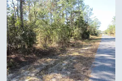 0000 SW Beaver Drive, Dunnellon, FL 34431 - Photo 1