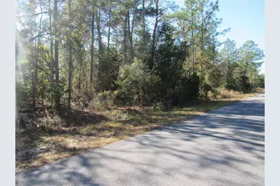 0000 SW Beaver Drive, Dunnellon, FL 34431 - Photo 2