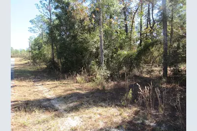 0000 SW Beaver Drive, Dunnellon, FL 34431 - Photo 4