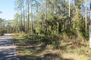 0000 SW Nautilus Blvd, Dunnellon, FL 34431 - Photo 1