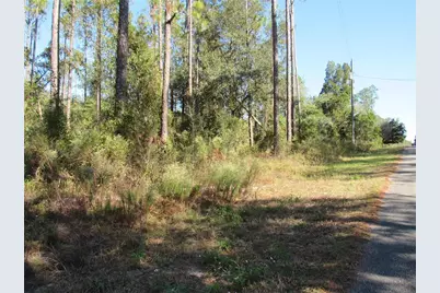 0000 SW Nautilus Boulevard, Dunnellon, FL 34431 - Photo 4