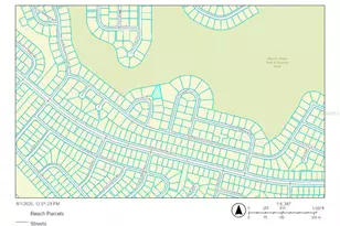 0 SW 46 Circle, Ocala, FL 34473 - Photo 1