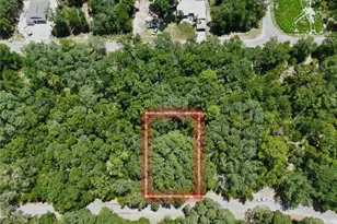 Tbd SW Fisher Ln Dr, Ocklawaha, FL 32179 - Photo 1