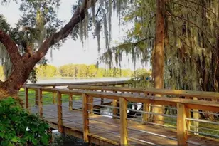 4381 E Ravenna St, Inverness, FL 34453 - Photo 42