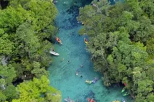 4381 E Ravenna St, Inverness, FL 34453 - Photo 44