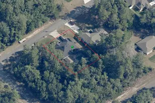 8525 N Spartan Dr, Citrus Springs, FL 34433 - Photo 46