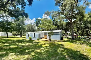 23939 NE 121st Ln, Salt Springs, FL 32134 - Photo 30