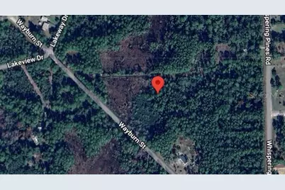 116 Wayburn Street, Georgetown, FL 32139 - Photo 2