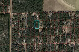 Tbd NE 118th Ln, Bronson, FL 32621 - Photo 1