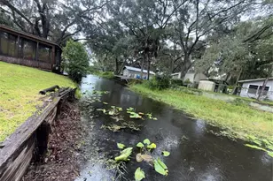 20930 NE 142nd Pl, Salt Springs, FL 32134 - Photo 10