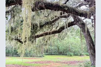 11105 N US Highway 27, Ocala, FL 34482 - Photo 58