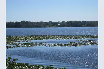 Se 35th Ln, Ocklawaha, FL 32179 - Photo 44