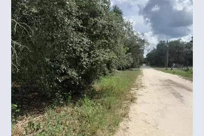 91 SE 142nd Terrace, Williston, FL 32696 - Photo 4